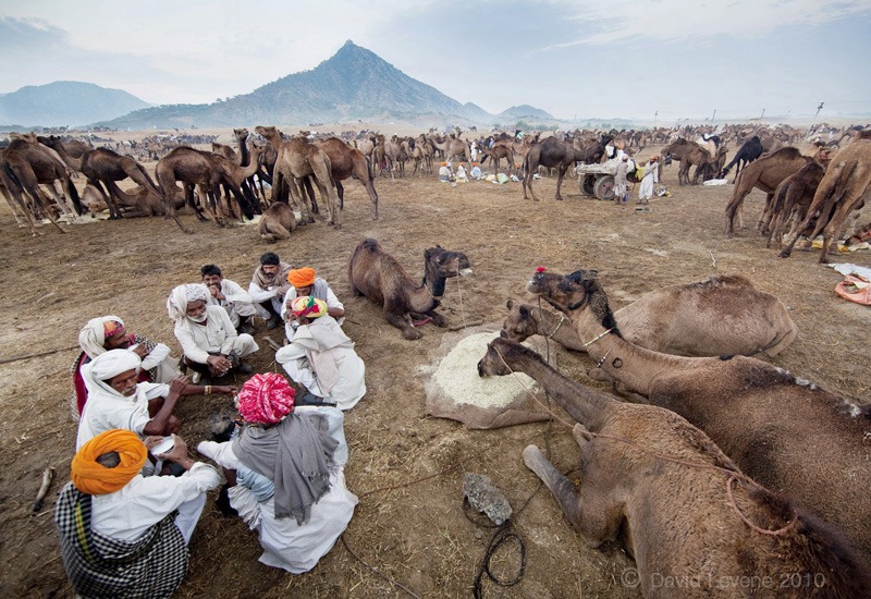 Learn About Pushkar Mela in Rajasthan | Utsavpedia